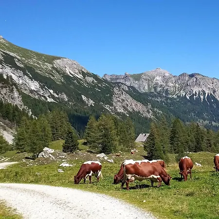 Apartament Laerchenhof 302 Mauterndorf (Salzburg)